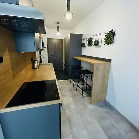 Apartment Twins Blizko Centra *